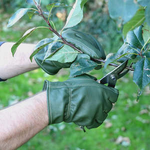 Esschert Design Leather Gardening Gloves - Green