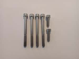 Gorlami titanium dry clutch cover bolt set