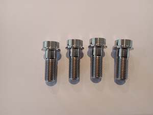 Gorlami titanium axial caliper bolts.