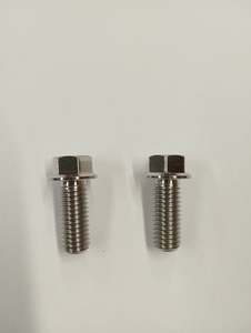 Gorlami Titanium: Gorlami titanium rear caliper bolts