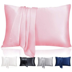 Vibe Geeks 2 Pcs Mulberry Silk Pillow Cases in Various Colours