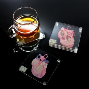 House Proud: Heart Anatomy Coasters Set
