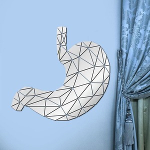Mirrors: Stomach Acrylic Mirror Diy Stickers