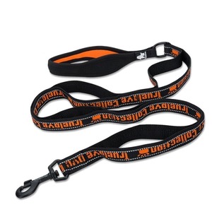 Dog Leash Collars: Reflective Nylon Leash for Pets