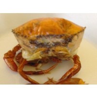 Products: Soft shell crabs, whole