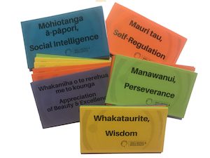 Rainbow VIA Strengths Cards