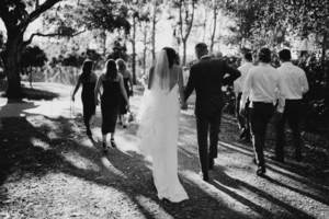 Products: Poppy Veil
