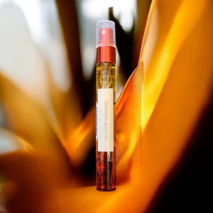 Products: Genuine Black Orchid Edp 10ml - Noella's Fragrances