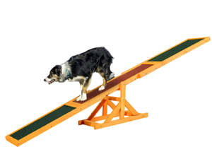 Wooden Dog Agility Seesaw for Training and Exercise