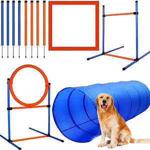 Pets Animals 1: Dog Agility Equipment