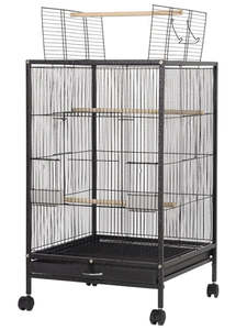 Pets Animals 1: Bird Cage