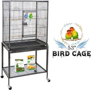 Birds: Bird Cage