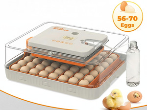 Automatic Egg Incubator 56-70 Eggs