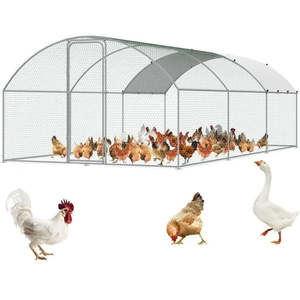 Office Furniture Supplies: Chicken Coop Run 6m×3m×2m