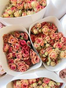 Natural Dried Rose