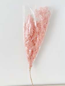 Flowers: Ming Fern Pale Pink