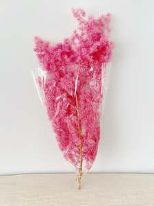 Flowers: Ming Fern Pink