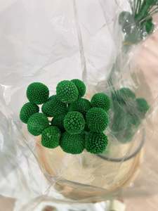 Flowers: Billy Buttons Green