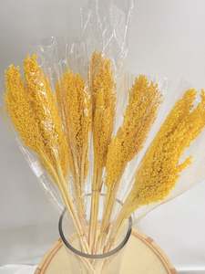 Sorghum Rice Flower Yellow