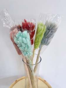 Bunny Tail Mixed Bunch