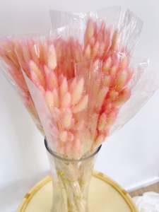 Bunny Tail Light Pink