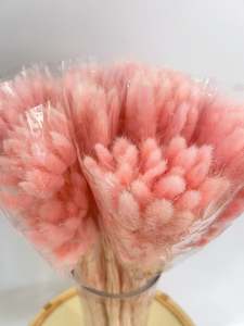 Flowers: Bunny Tail Pink