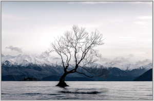 Wall Art: Winter Sunrise Wanaka Framed 120x80cm