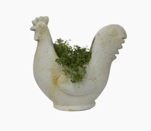 Home Decor: Chook Flower Pot