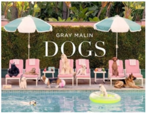 Gray Malin Dogs
