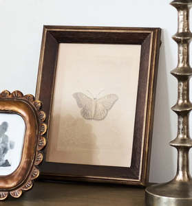 Butterfly Study Wall Art