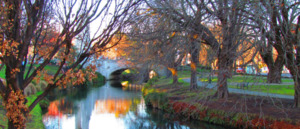 Products: From Auckland to Christchurch: A Comprehensive Moving Guide for Kiwis