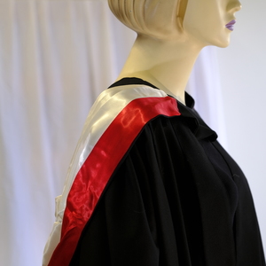 Products: Hood - AUT