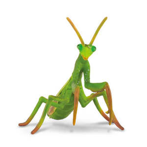 Figures Figurines: CollectA Praying Mantis