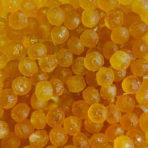 Yellow: Manuka Honey Drops (Old Fashioned)