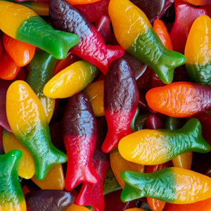 Fathers Day: Rainbow Fish