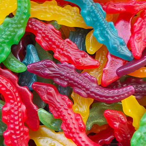 Crocodiles  (Mayceys)