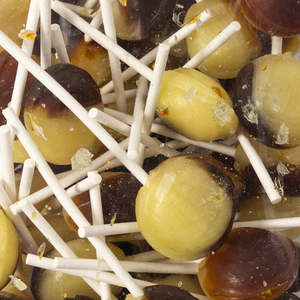 Lollipops: Dobson Mega Lollipop 5 Pack