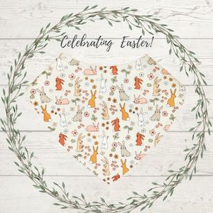 Dribble Bibs: Bunnies & Flowers Dribble Bib