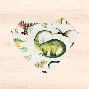 Dinosaur Buddies Dribble Bib