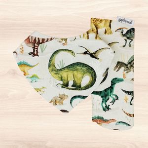 All: Dinosaur Buddies Dribble Bib & Dinosaur Buddies Burp Cloth