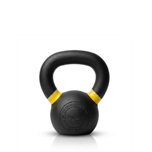 Products: GravoMax 4KG Cast Iron Kettlebell Powder Coated NZ