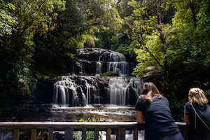 The Catlins Curiosity: Discover Hidden Wonders in Clutha's Southern Coastline, N&hellip;