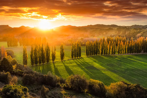 Grassroots Country: 3-Night Adventure through New Zealand's Manawatu, Horowhenua&hellip;