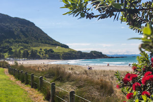 Bay of Plenty Beach Hop: 3-Night Coastal Escape with Adventure & Relaxation &hellip;