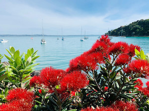 Products: Escape to Waiheke: 3-Night Island Getaway with Vineyards, Beaches, and Art Great Kiwi Trips