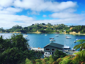 Products: Rakiura Retreat: 3-Night Stewart Island Adventure Great Kiwi Trips