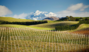 Marlborough Magic Wine, Adventure & Culture ’s Premier Wine Region Great Kiwi Trips