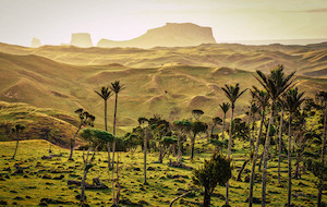 Chatham Islands Explorer – 3-Night Remote Adventure 's Chatham Islands Great Kiwi Trips