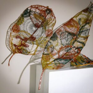 Products: Autumnal Hues 1