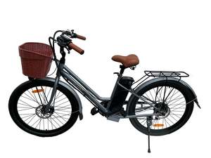 Electric Vintage Bike - 26", 7 speeds, 36V 250W Motor, 10Ah, Grey